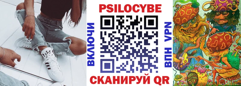 продажа наркотиков  Щёлково  Галлюциногенные грибы прущие грибы 
